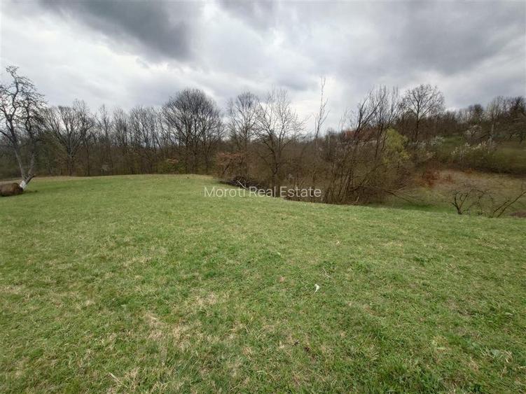 10 000 mp teren intravilan cu priveliste - 2