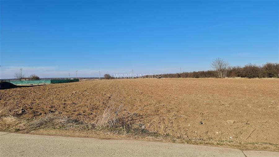 Vanzare Teren intravilan Peris - Ilfov - 4