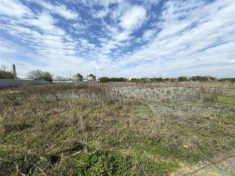 Teren intravilan 5000 mp langa Piata Obor - 4