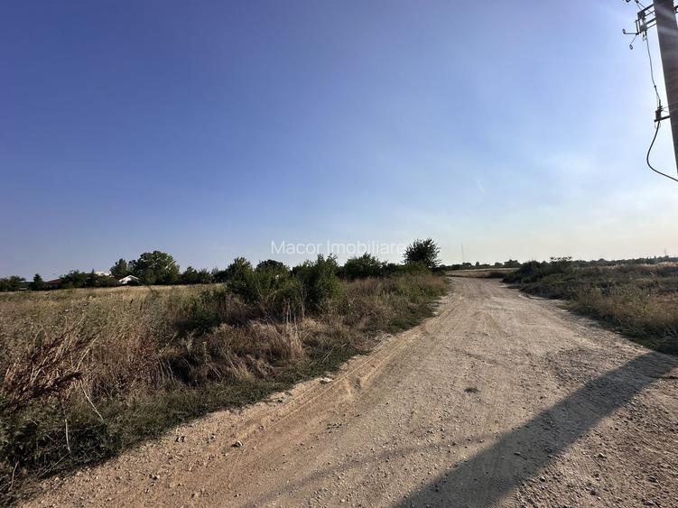 Teren Tancabesti intravilan iesire la lac Snagov - 9