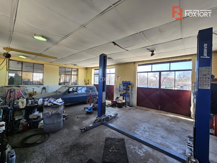 Oportunitate afacere: Spatiu industrial + Casa de locuit - Bogdanestilor - 27