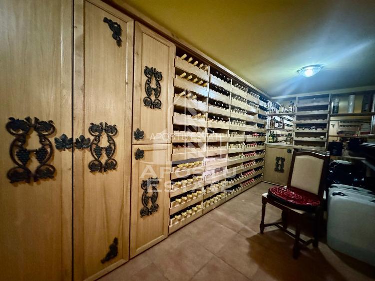 Casa Multifunctionala – Pensiune, Evenimente, Piscina si Crama - 8