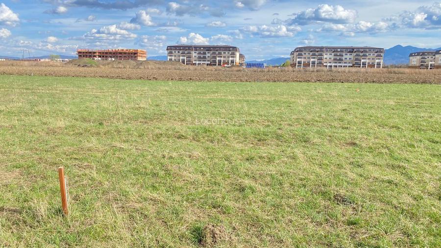 Teren Sanpetru Drumul cu Plopi - 3