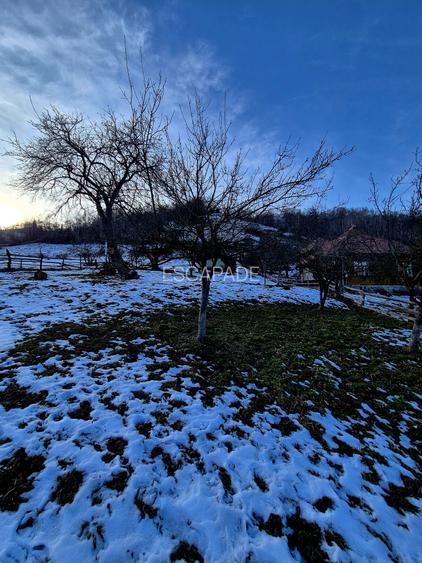 Teren intravilan Simon/Bran, 4318 mp , casuta intabulata, utilitati - 7