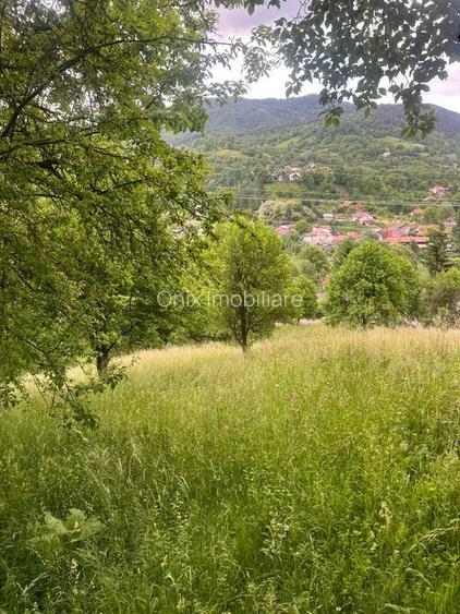 TEREN DE VANZARE VALEA DOFTANEI - 3