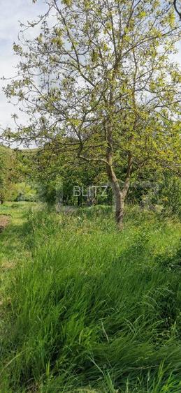 Casa renovabila de 127 mp, cu 2100 mp teren, localizata central in Luna de Sus - 3