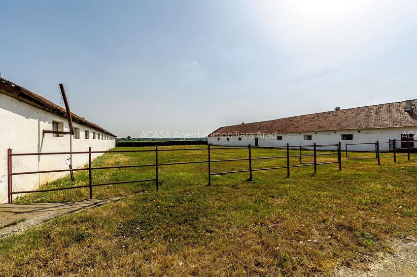 Fermă Mândruloc 2,5 ha - 7