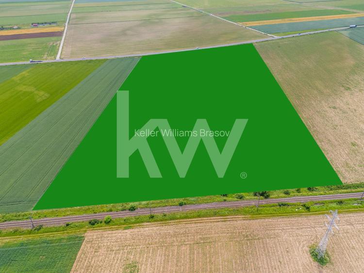 Teren de vanzare I 43 500 mp I Deschidere la drum - Harman - 18