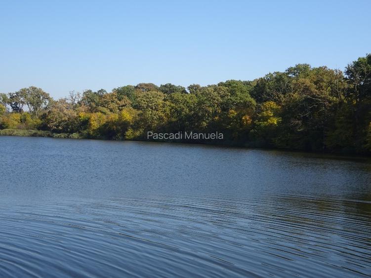  Zona lacului, teren 520mp, 85E/mp, apropiere Iepurasului - 8