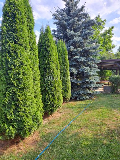 VILA IN REGIM DE INALTIME PARTER SI ETAJ ULTRAFINISATA PE 19 ARI TEREN - 11