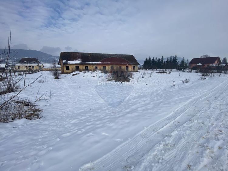 Teren Hoghilag/Dumbraveni Strada Principala - 5