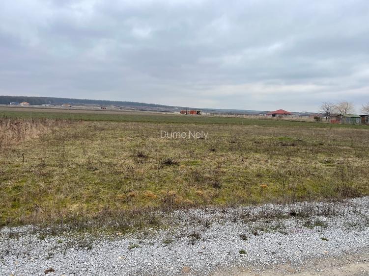 Vând teren intravilan în Cihei 500 mp front stradal 19 m cu PUD și PUZ - 6