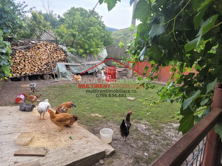 Casa in Telita cu vedere spre padure! - 7