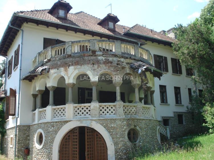 Conac istoric clasa B, 13 ha teren, valoare istorica - 10