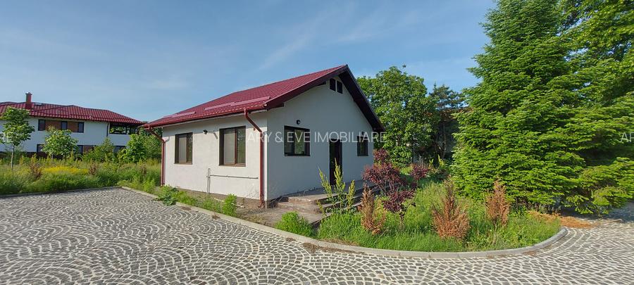 Domeniu Protocol Snagov 140m la Lac  11.000 mp Teren | Rezidență sau Evenimente - 15
