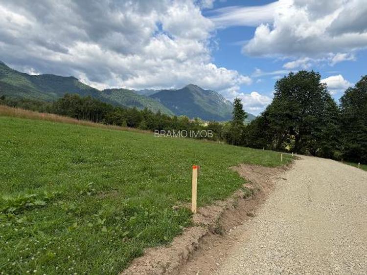 Teren intravilan zona Zarnesti-Tohanita,langa padure  1000 mp - 2