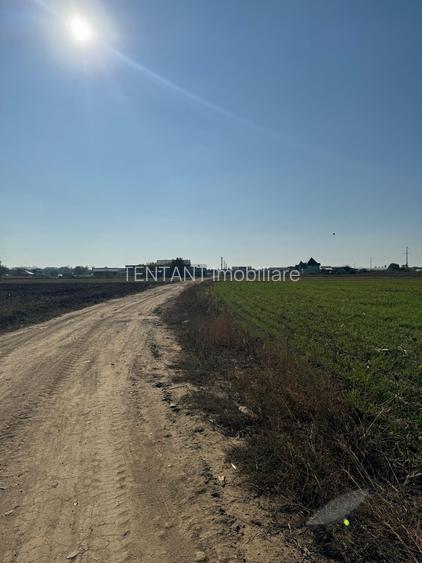 Vanzare Teren   construibil 420mp Magurele Varteju - 3