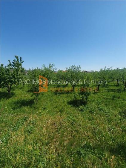 EXCLUSIVITATE! Casa cu teren zona Parscov - 23