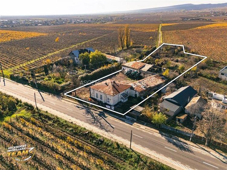 FILM! Casa boieresca autentica,domeniu de 4.000 mp intravilan,in podgoriile Odob - 19