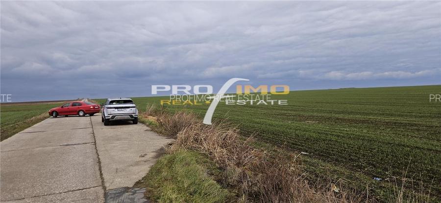 Plaja Corbu-Teren 4200mp. la numai 8 euro /mp. Soseaua asfaltata - 9