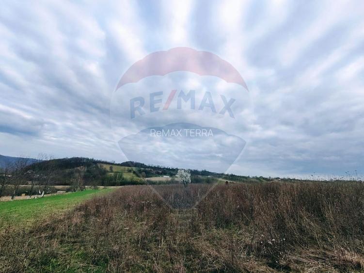 Teren cu panorama superba în Berchezoaia + bonus rulota - 2