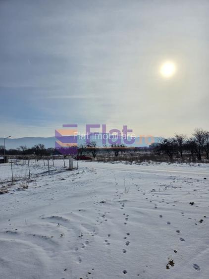 Proiect Casă spațioasă de vânzare – 4 camere  Ghimbav, Brașov - 15