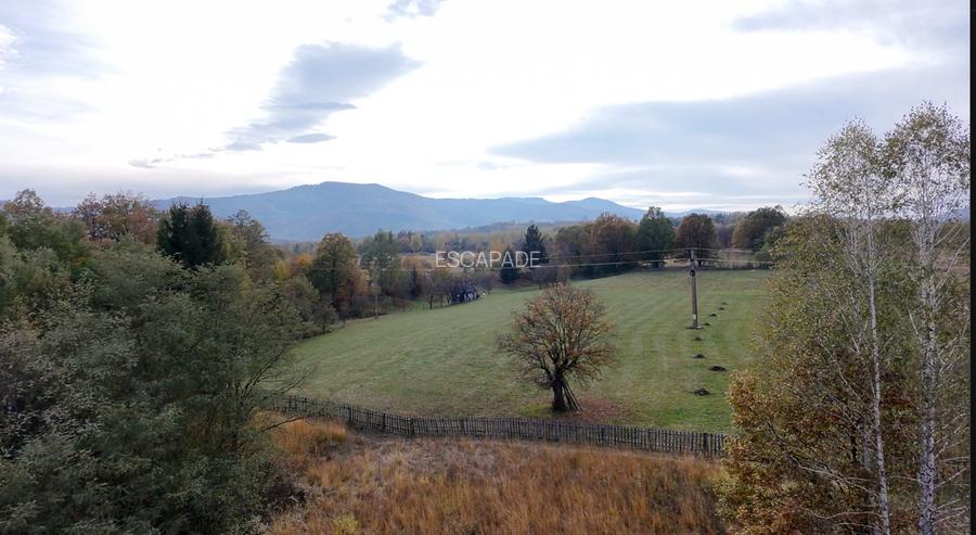 Comision 0%, teren extravilan 12497 mp Sinca Noua - 24