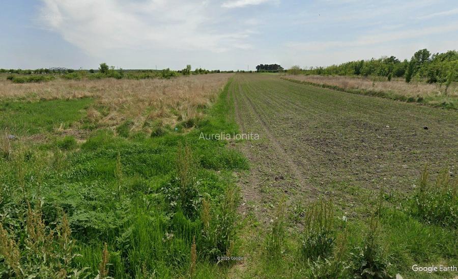 Proprietar - Teren Unicat  Peris - Intravilan - 31.100 mp - Utilitati - 4