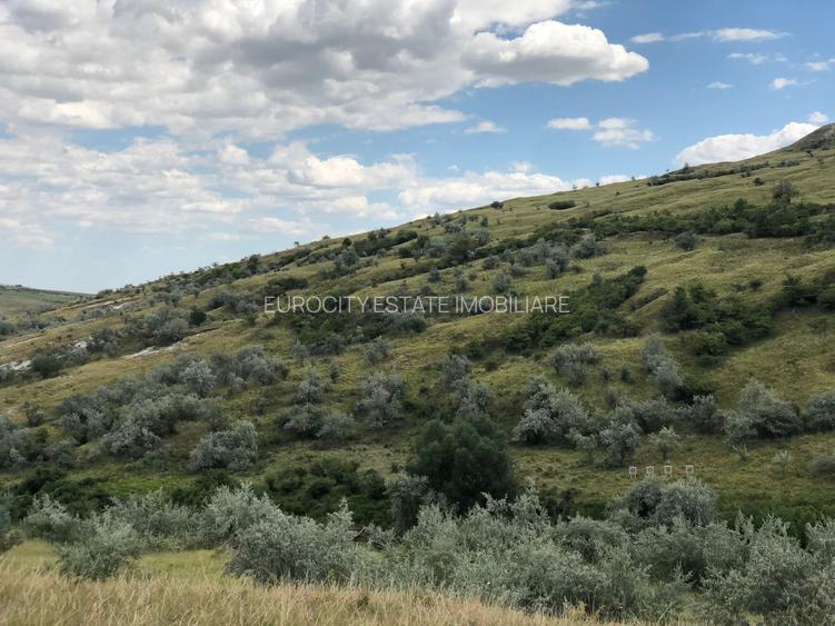 Vanzare 50 Ha pasune, judetul Prahova - 13