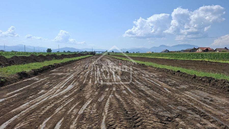 Teren Pretabil Investitie Harman - 9