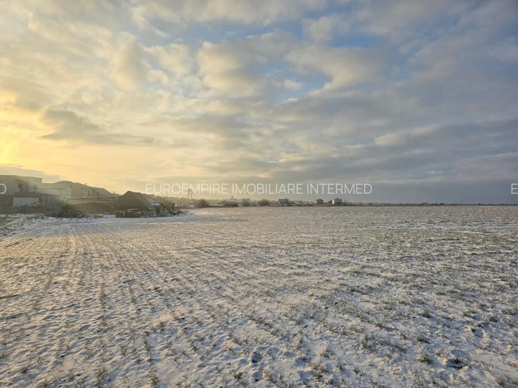 Teren de vanzare in Lazu - 5