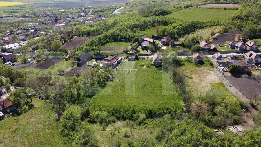 4700 mp teren intravilan - Rascruci - EXCLUSIVITATE - 3