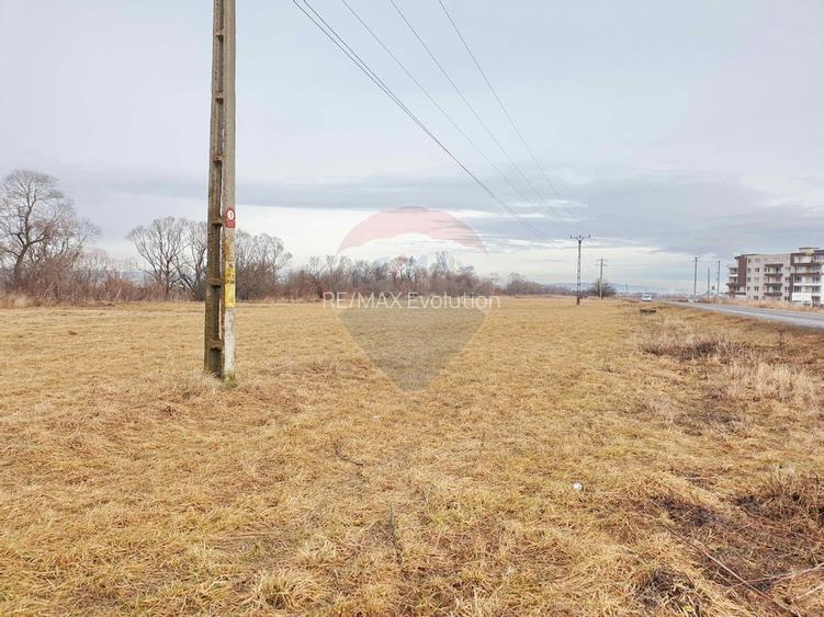 Teren 11600 mp, front la DN73B, Cristian - 7