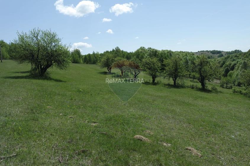 TEREN DE VÂNZARE ÎN PRELUCA NOUA - 3