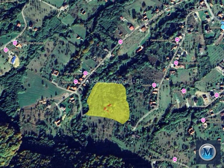 Teren intravilan de vanzare in Bran, 24000 mp #16561 - 4