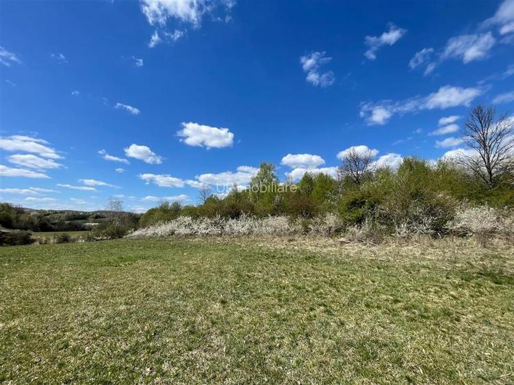 TEREN EXTRAVILAN | 103.000mp | BALANACA-GROSI | PASUNE | PASUNE IMPADURITA | BIH - 2