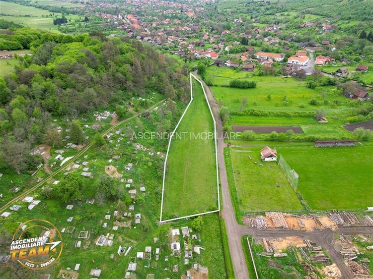 6.500 mp teren intravilan, la 10 min de orasul Covasna: Papauti - 2