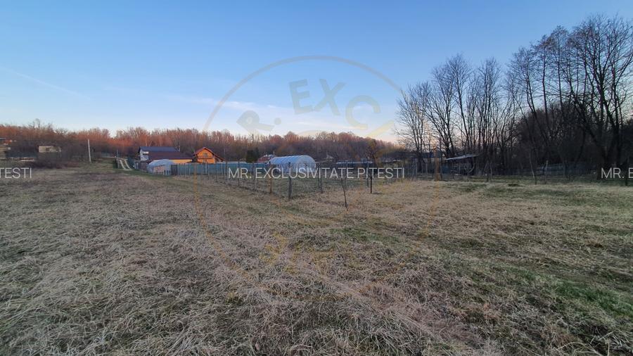 Teren intravilan pentru Casa de Vacanta - Mosoaia -Basangesti - 2