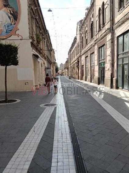 Arad - Spatiu comercial pe Metianu, parter plus etaj - 21
