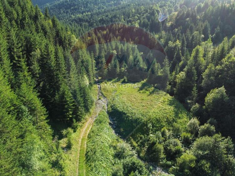 Teren 2,895mp Strada Priseci acces auto in zona telecabina BORSA - 7