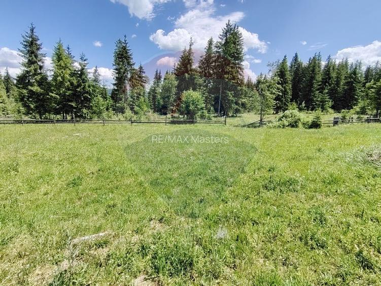 Teren 19,370mp Neagra Sarului / Strada Sestina - 14