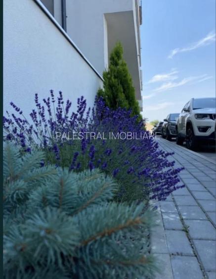 Apartament 2 camere mobilat -utilat Vivamus Residence,115000 Euro - 8