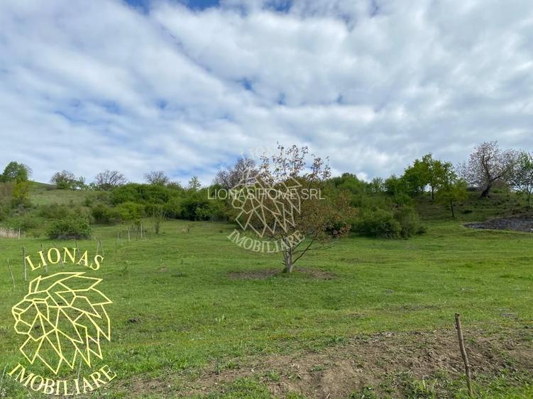 Teren Extravilan - Ghinda - 3.5000mp-Parcelabil - 6