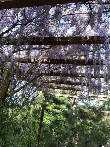 Vanzare vila deosebita mobilata si utilata Corbeanca - 60