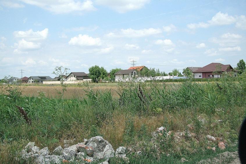 Ocazie ! Tartasesti - Str. Giurgiului, 20.000 mp. teren intravilan - 5