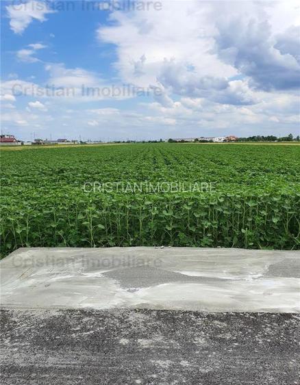 Teren 8881 mp, stradal, zona Cazasu - 3