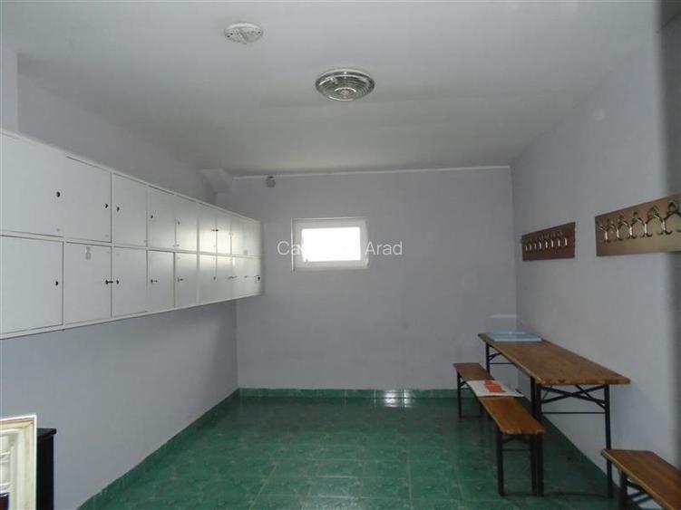 Hala de inchiriat in Aradul Nou - 4