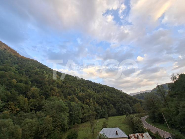 Spatiu de vanzare in Valea Macesului judel Valcea iesire la Lotru - 43