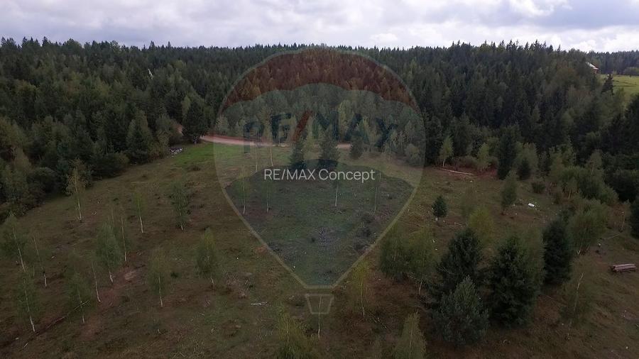 Teren extravilan parcelabil Călățele Pădure, zona Dealu Negru - 14