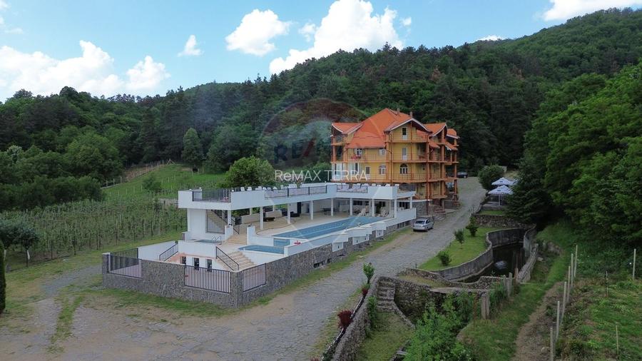 DE VANZARE Pensiune cu piscina, pastravarie, zona spa locatie de vis - 12